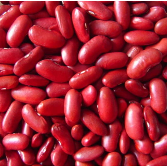FEIJÃO VERMELHO 1KG KICALDO